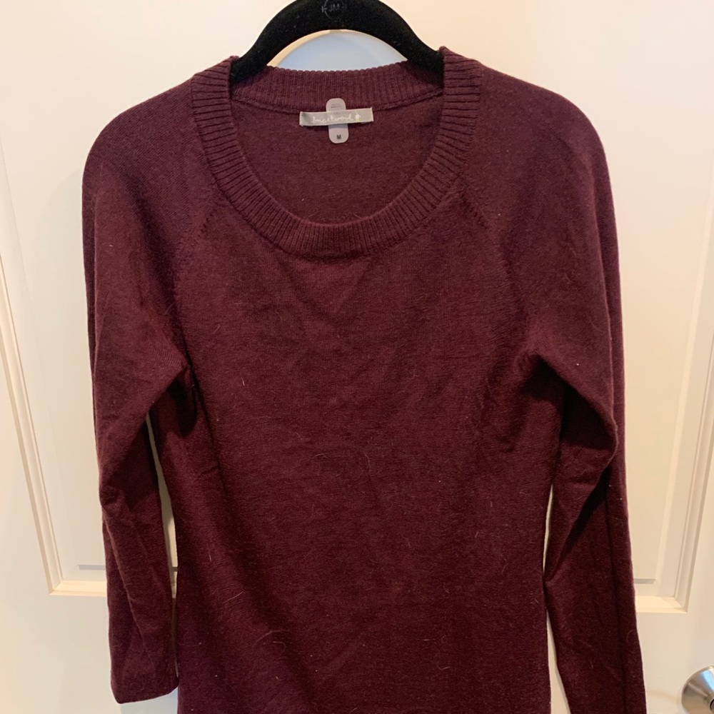 Smartwool Sweater Dress (Size: Medium)